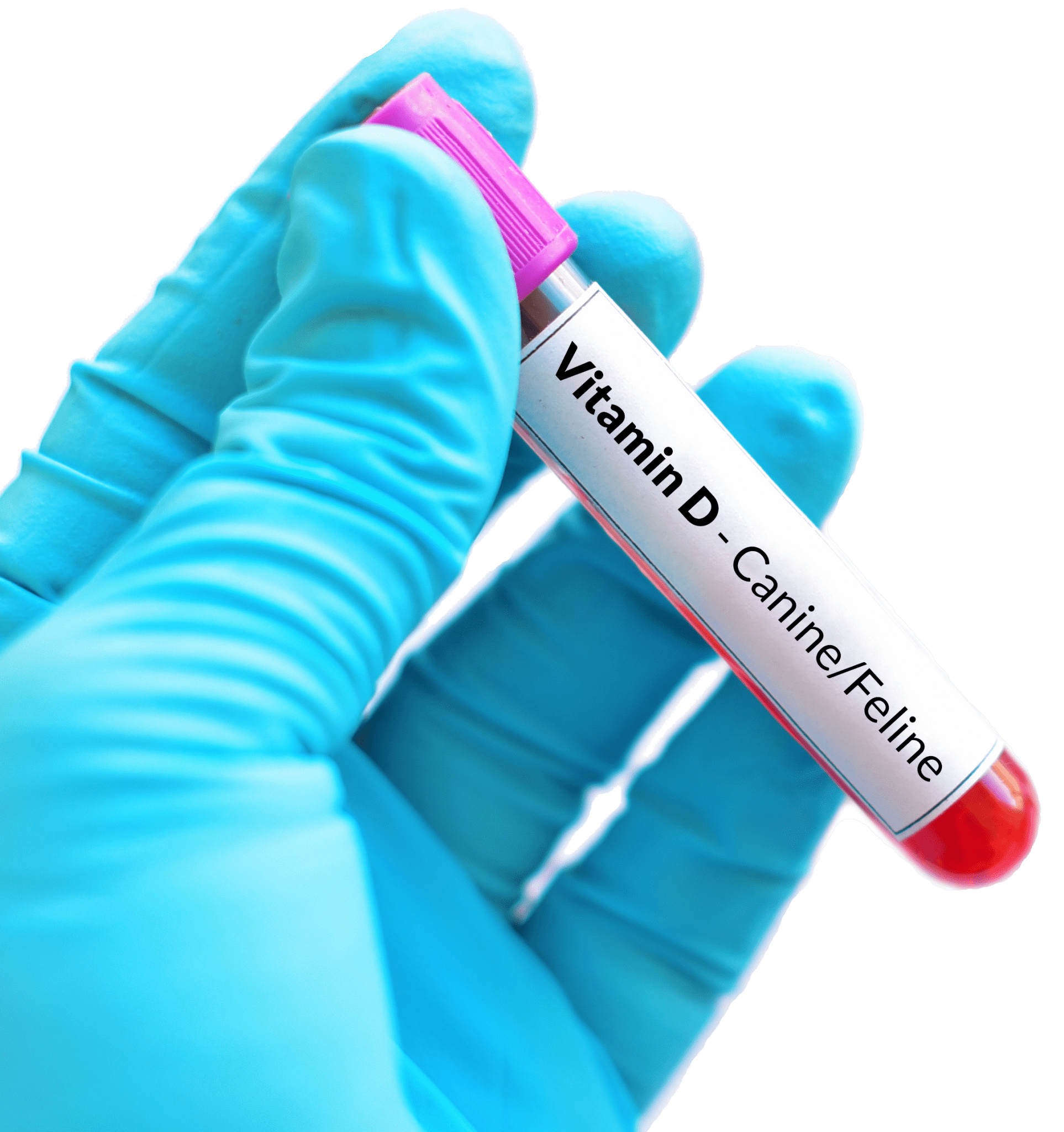 Let’s Test Vitamin D VDI Laboratory, LLC
