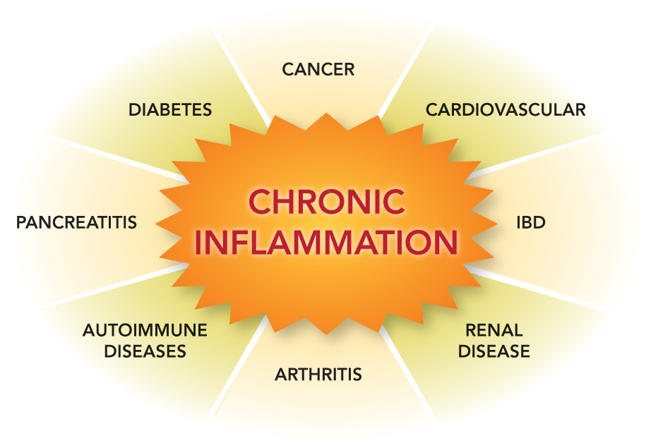 Diagram of diseases associated with Chronic Inflammation.