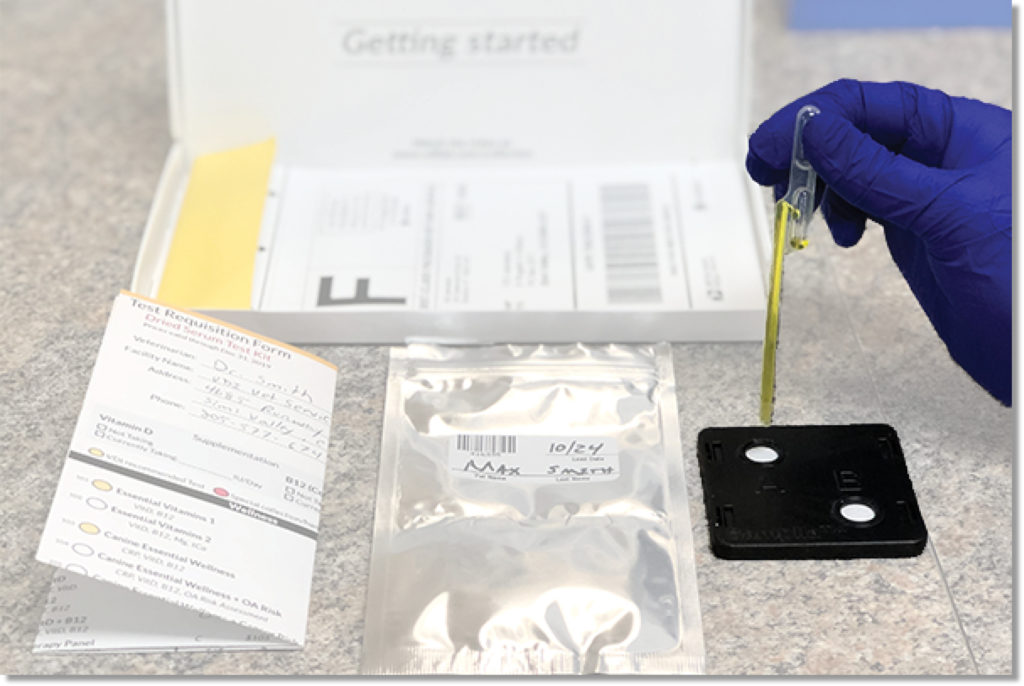 Hand pipetting serum into a VDI Dry Serum Test Kit, Samplla Device.