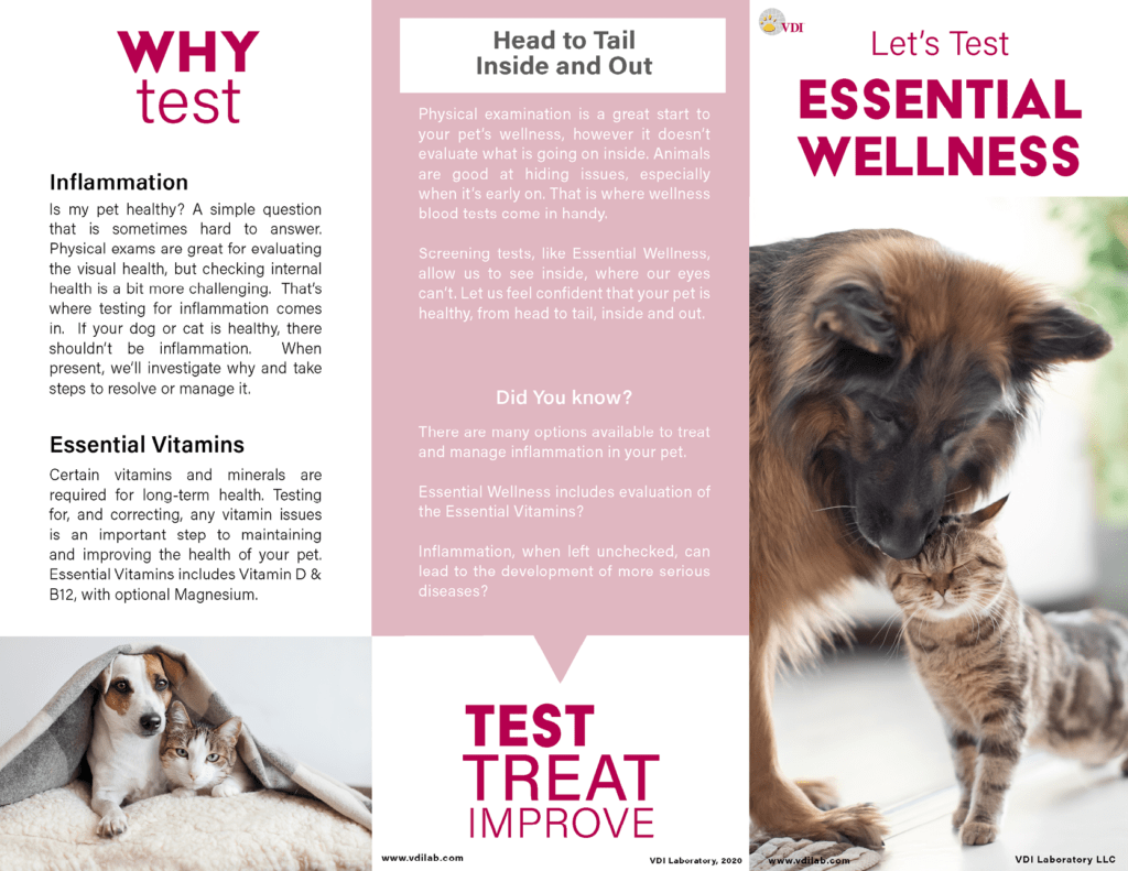 Icon of the Essential Wellness pet owner trifold. Links to the full PDF of the trifold.