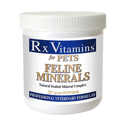 Rx vitamins 2024 renal feline