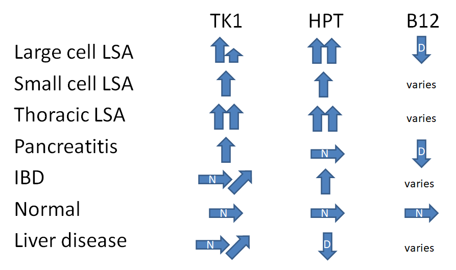 Chart with the analyte profiles (TK1, HPT, B12) that correspond with various disease states in GI cats.