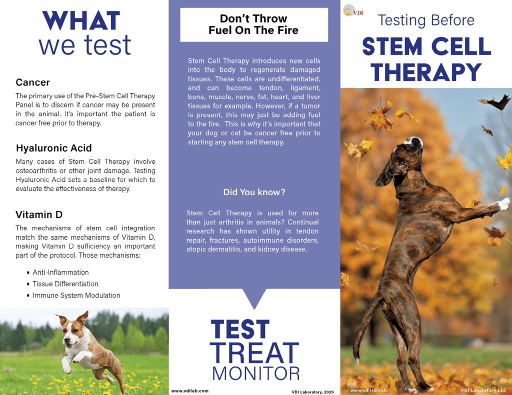 Icon of the Pre-Stem Cell Therapy pet owner trifold. Links to the full PDF of the trifold.