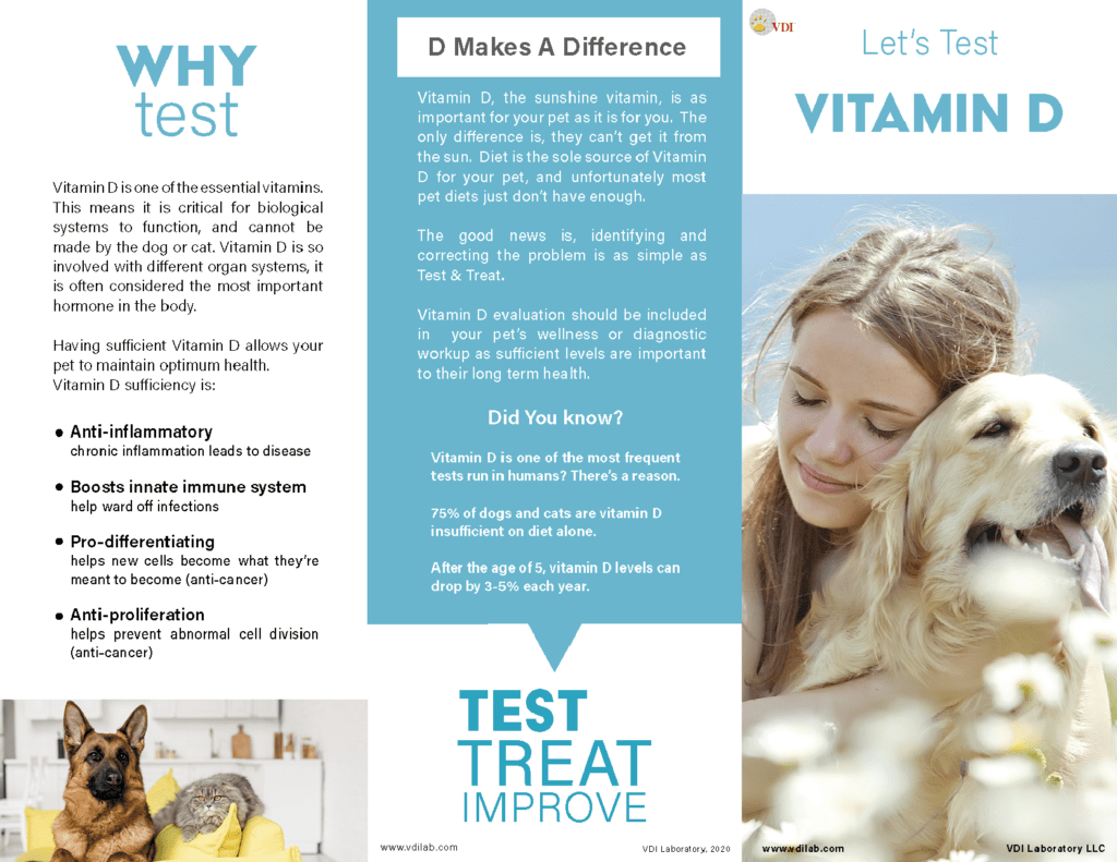 Icon of the Vitamin D pet owner trifold. Links to the full PDF of the trifold.