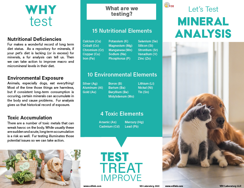 Mineral Analysis trifold icon