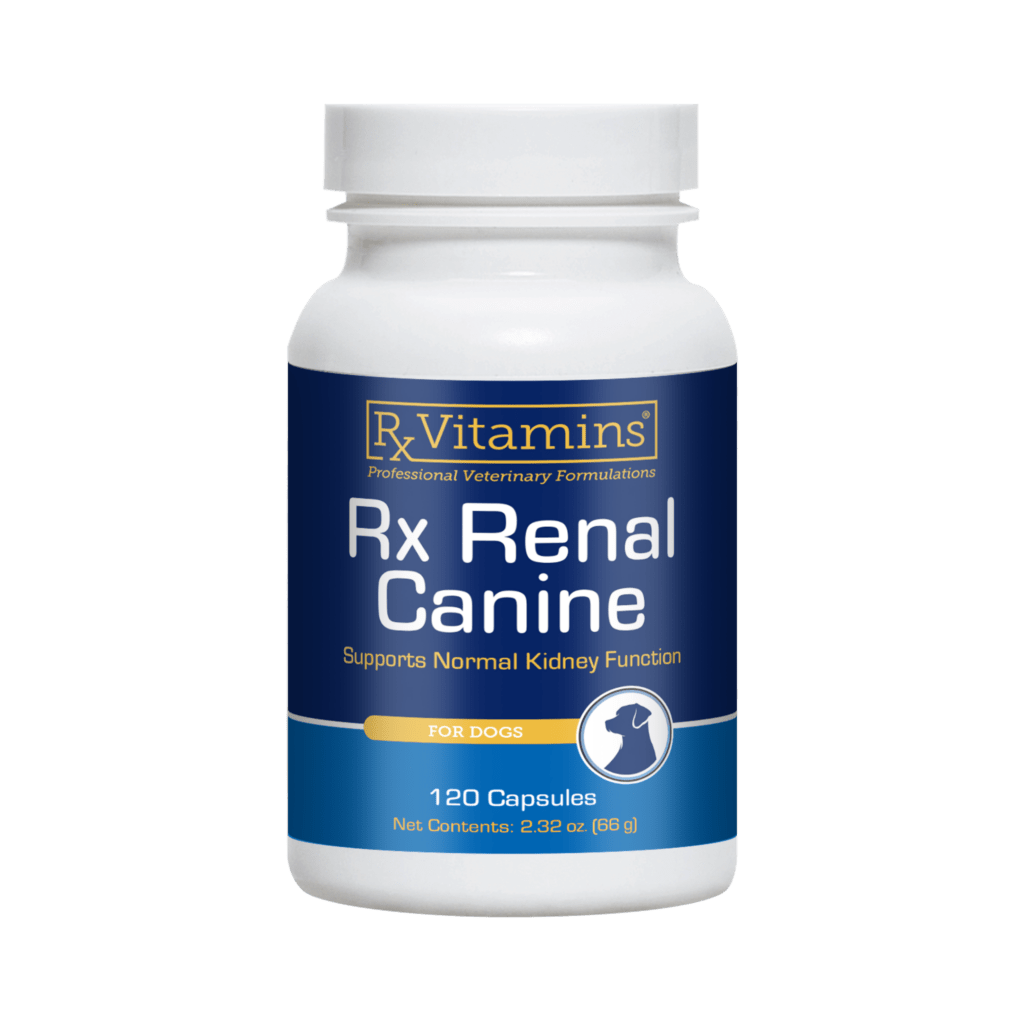 Rx Renal
