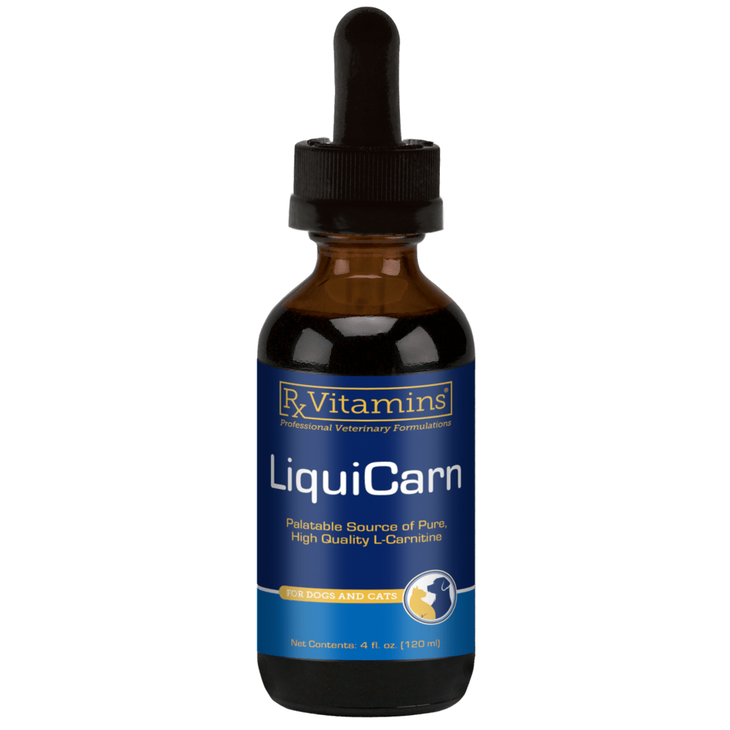 LiquiCarn