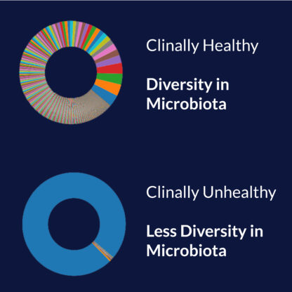 GI Microbiome Panel - Image 3