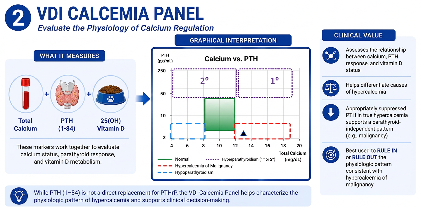 VDI Calcemia Panel infographic_v2